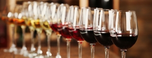 Celebrating Excellence: Discover the Finest Wine Brands in India